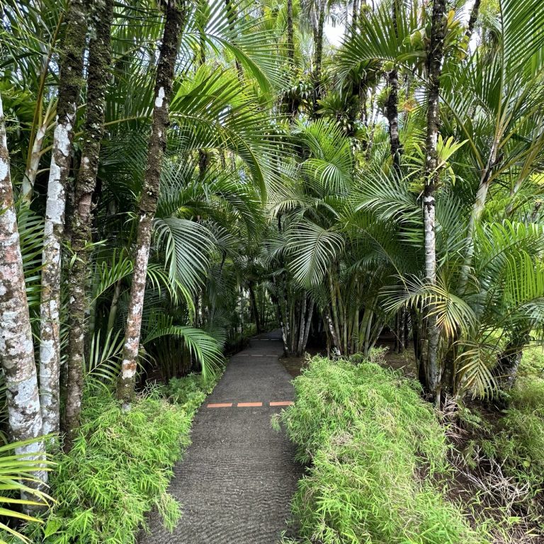 Jardin de Balata à Fort-de-France - jardin tropical