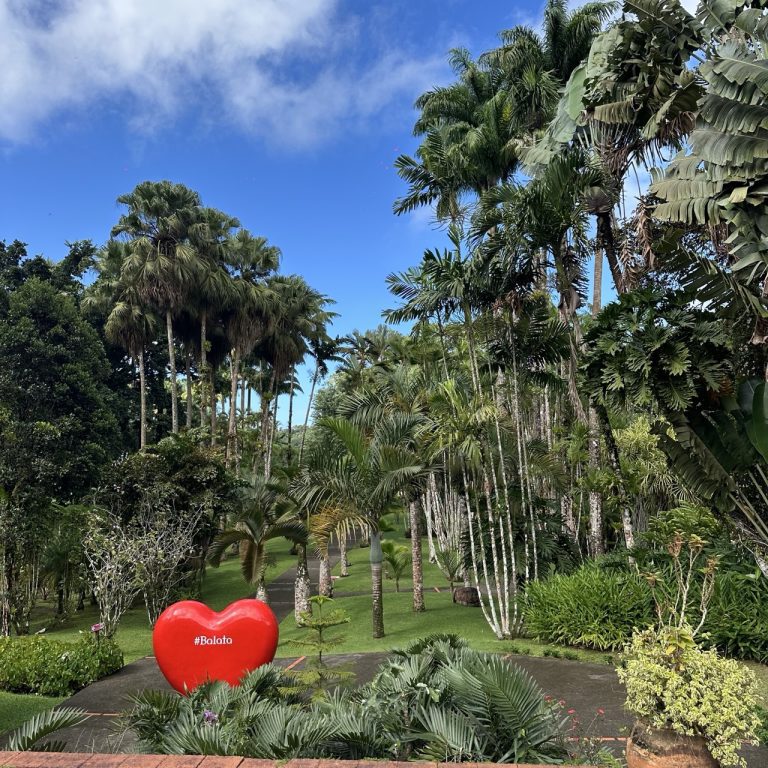 Jardin de Balata à Fort-de-France - jardin tropical