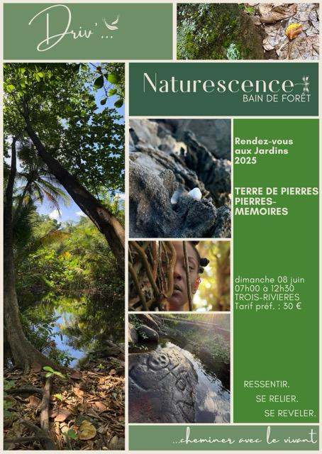 Événement nature en Guadeloupe : balade sensorielle et méditative sur le sentier littoral de Trois-Rivières le 8 juin 2025, mêlant mémoire, écriture et connexion à la terre.