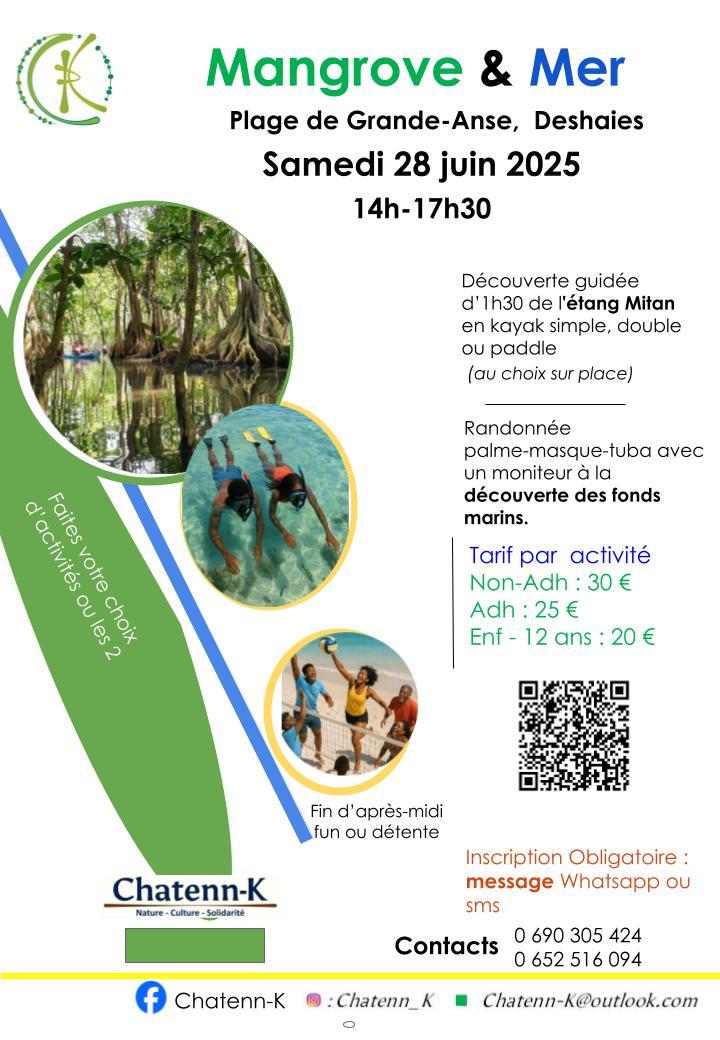 Activité nature à Deshaies le 28 juin 2025 : randonnée palmée et découverte en kayak ou paddle de la mangrove à l’Étang Mitan. Sortie encadrée par Chatenn-K avec fin d’après-midi détente à Grande-Anse.