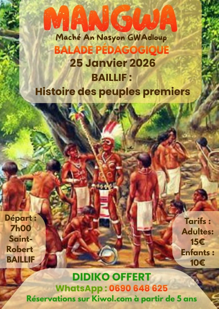 Balade pédagogique Mangua organisée le 25 janvier 2026 à Baillif autour de l’histoire des peuples premiers en Guadeloupe. Départ à 7h depuis Saint-Robert Baillif, parcours culturel et éducatif accessible dès 5 ans. Tarifs adultes 15 euros, enfants 10 euros, didiko offert.