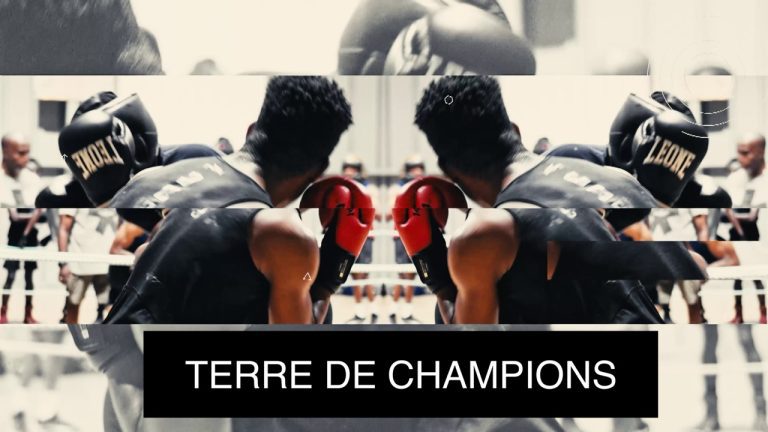 TERRE DE CHAMPIONS