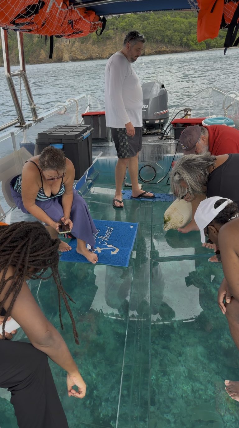 Excursion Crystal Boat à Pointe-Noire en Guadeloupe avec observation des fonds marins à travers un bateau 100 % transparent, activité nautique immersive en mer avec vue directe sur les coraux.