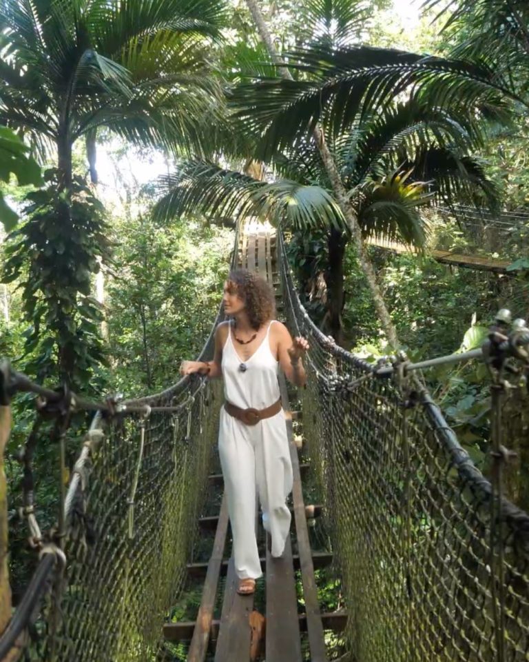 Passerelle suspendue au Zoo de Guadeloupe à Bouillante au cœur de la forêt tropicale avec végétation dense et immersion nature.