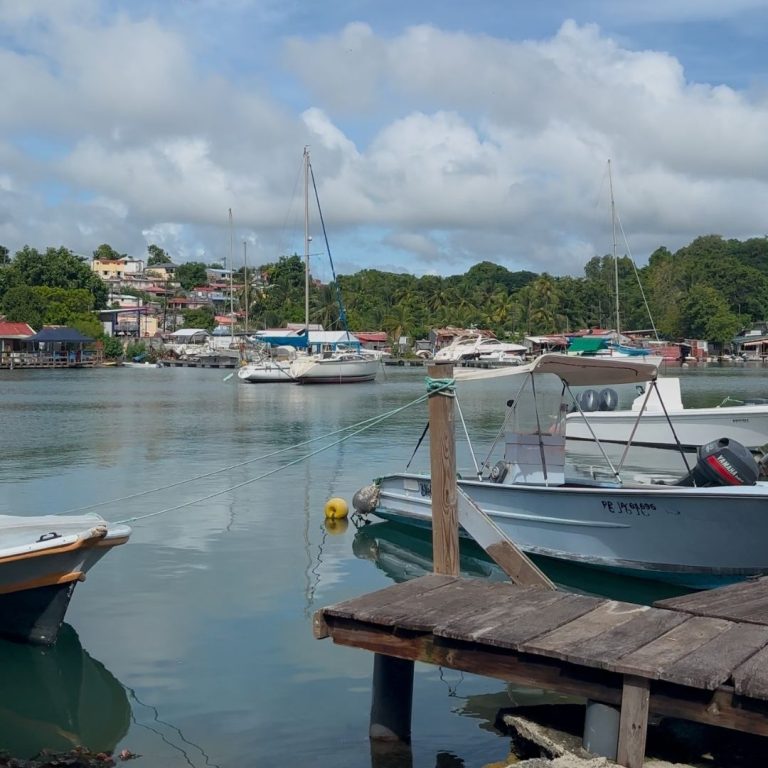 Vue sur la baie depuis le restaurant créole An Tol La à Pointe-à-Pitre en Guadeloupe, adresse locale réputée pour sa cuisine créole authentique et son ambiance simple.