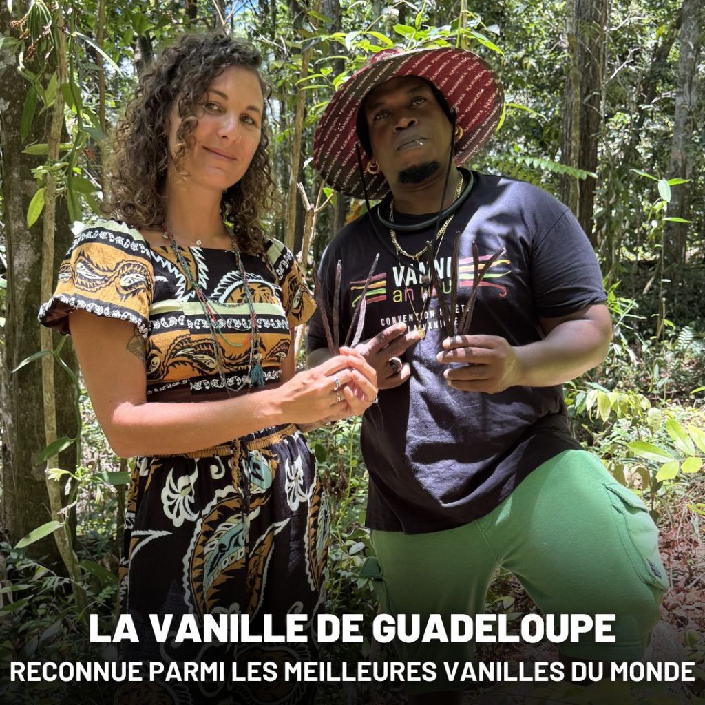 Ambre TAC et Didreau présentent des gousses de vanille lors d’une immersion à la Vanilleraie Wild Forest en Guadeloupe, autour du savoir-faire local et de la culture de la vanille.
