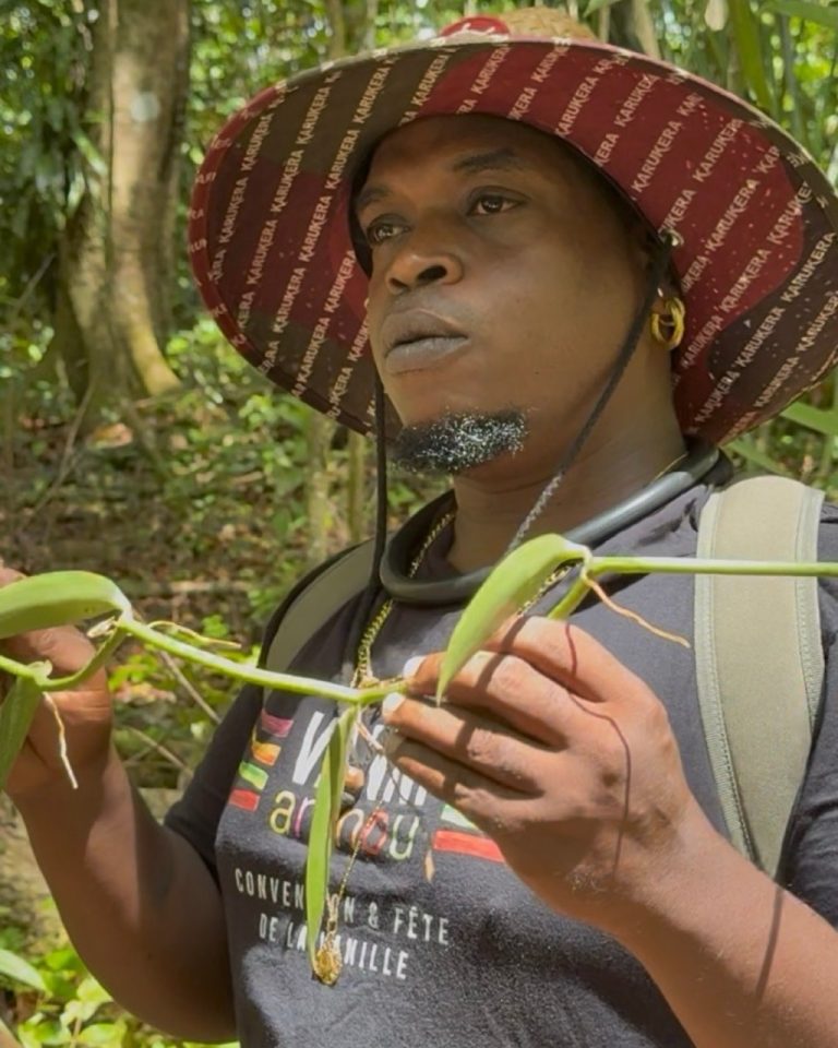 Didreau présente une jeune liane de vanille lors d’une visite de la Vanilleraie Wild Forest en Guadeloupe.