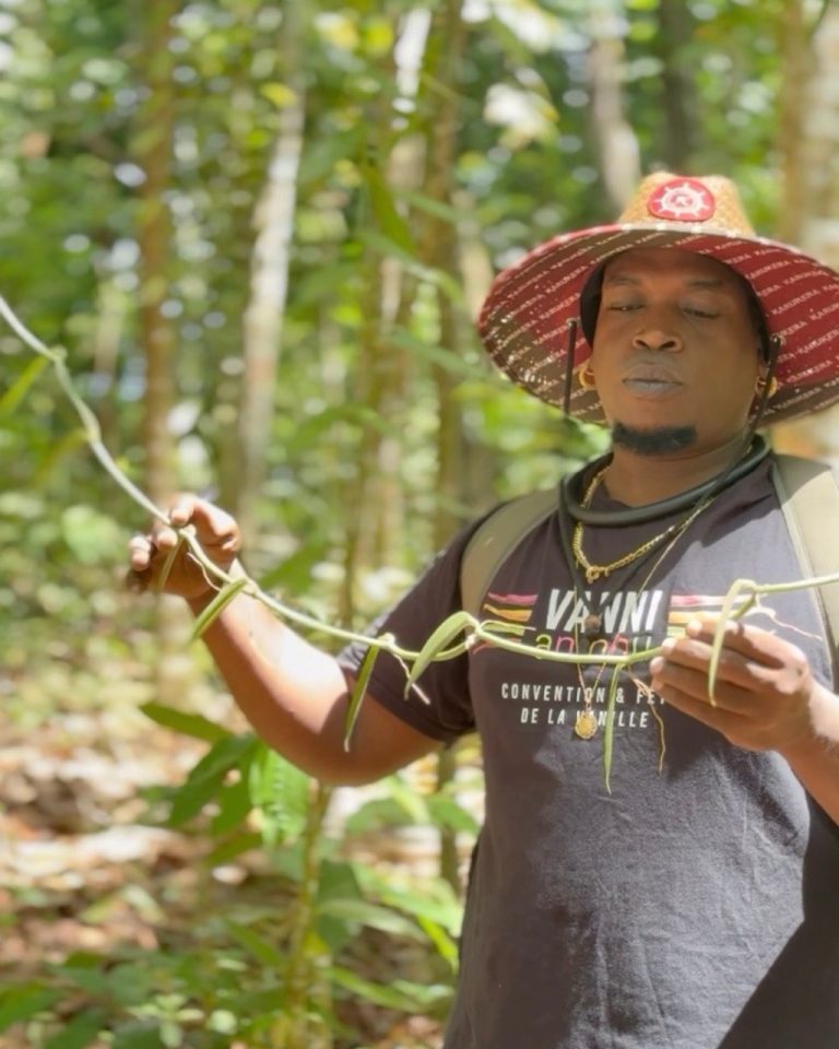 Didreau présente une longue liane de vanille lors d’une visite immersive à la Vanilleraie Wild Forest en Guadeloupe.