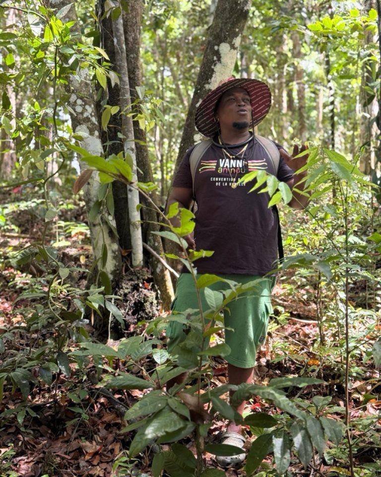 Didreau guide une visite immersive au cœur de la Vanilleraie Wild Forest en Guadeloupe, entouré de forêt tropicale et de lianes de vanille.