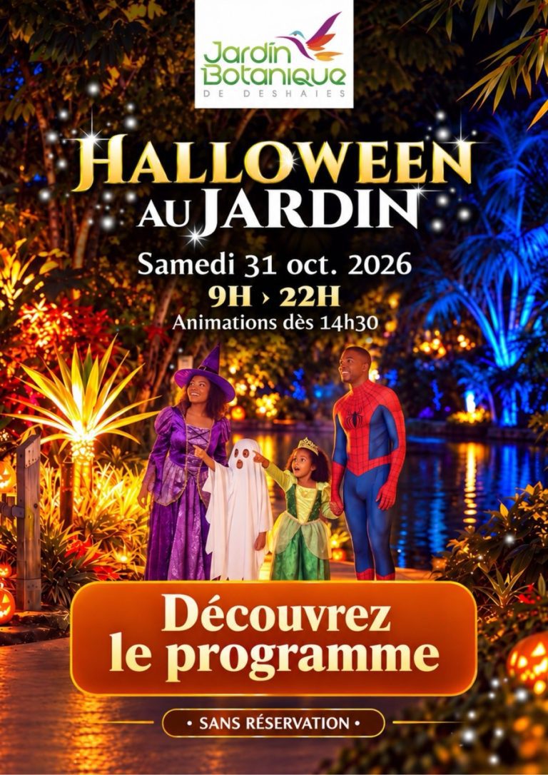 Halloween au Jardin botanique de Deshaies, en Guadeloupe, le 31 octobre 2026. Une journée festive avec maquillage fluo, missions des citrouilles, animations, jeux et gourmandises pour toute la famille.